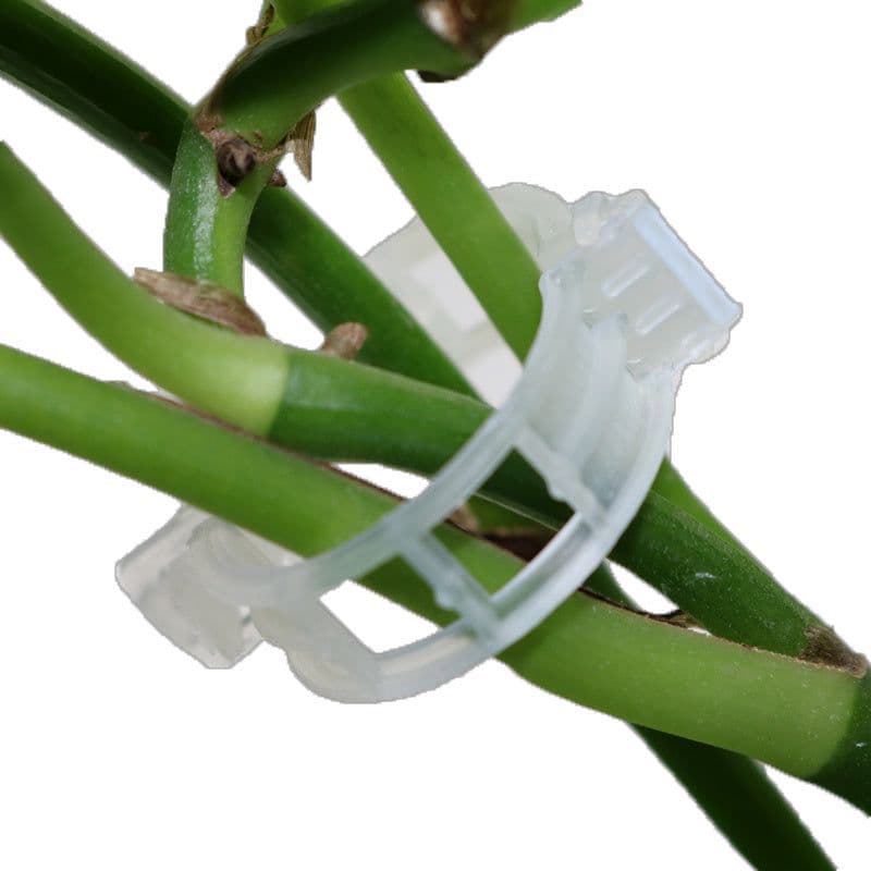 image-Garden Supplies Pliers Plants 50 Pieces