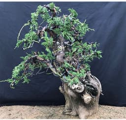 image-Gardening supplies bonsai modeling aluminum wire
