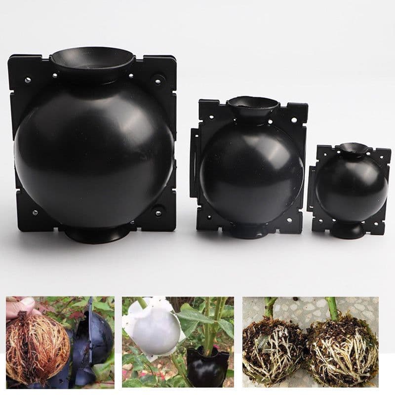 image-Plant High Pressure Propagation Box Tree Grafting Growth Ball