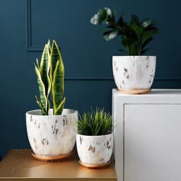 image-Ceramic flowerpot