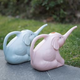 image-Baby elephant watering flowers