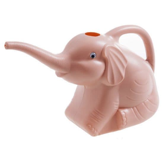 image-Baby elephant watering flowers