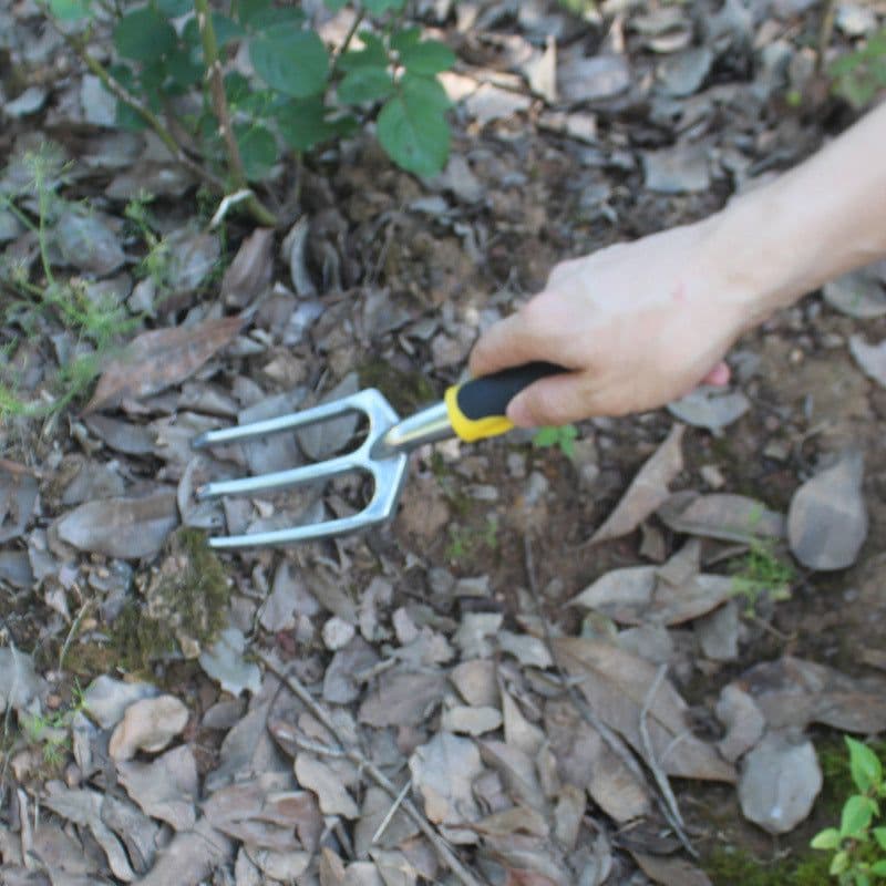 image-Alloy seedling transplanter