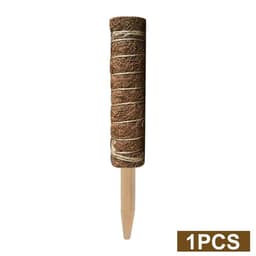 image-Green radish coconut palm sticks