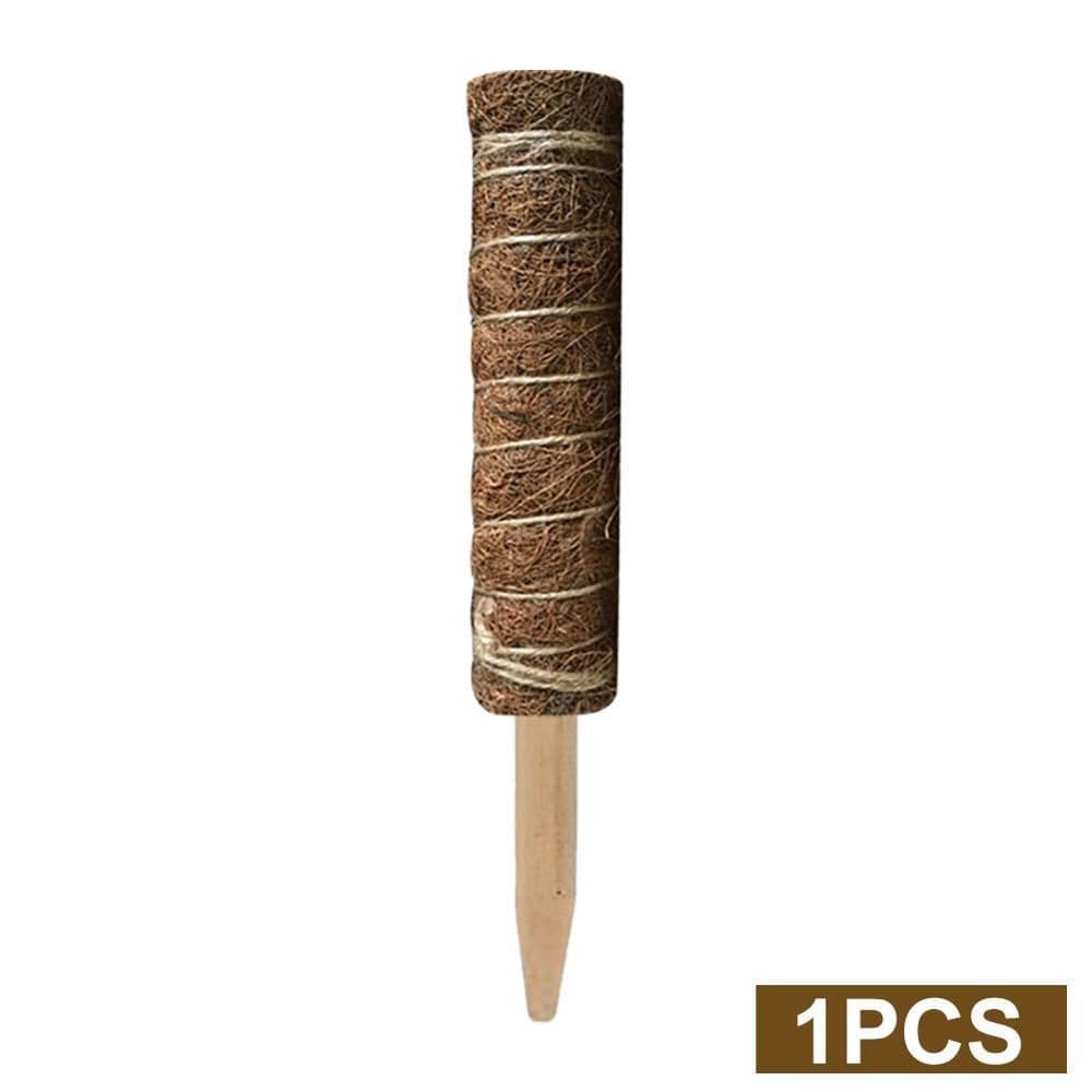 image-Green radish coconut palm sticks