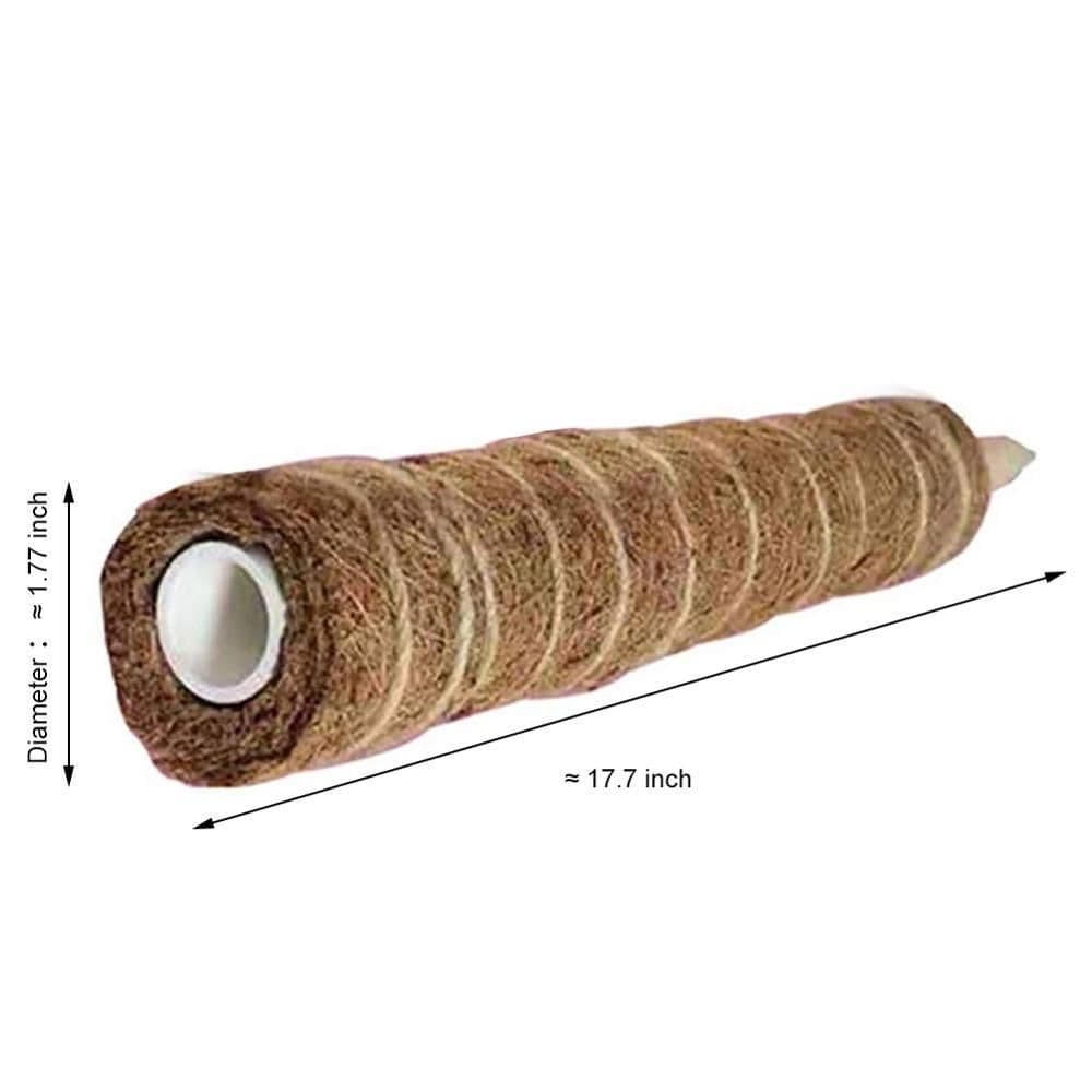 image-Green radish coconut palm sticks