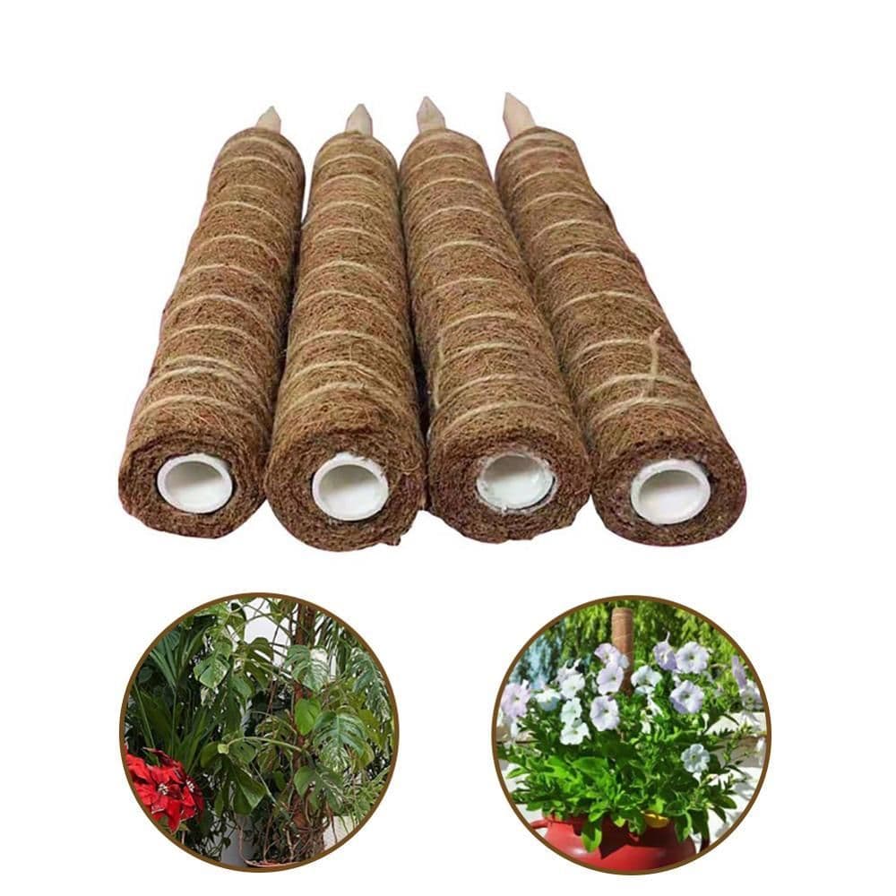 image-Green radish coconut palm sticks