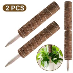 image-Green radish coconut palm sticks