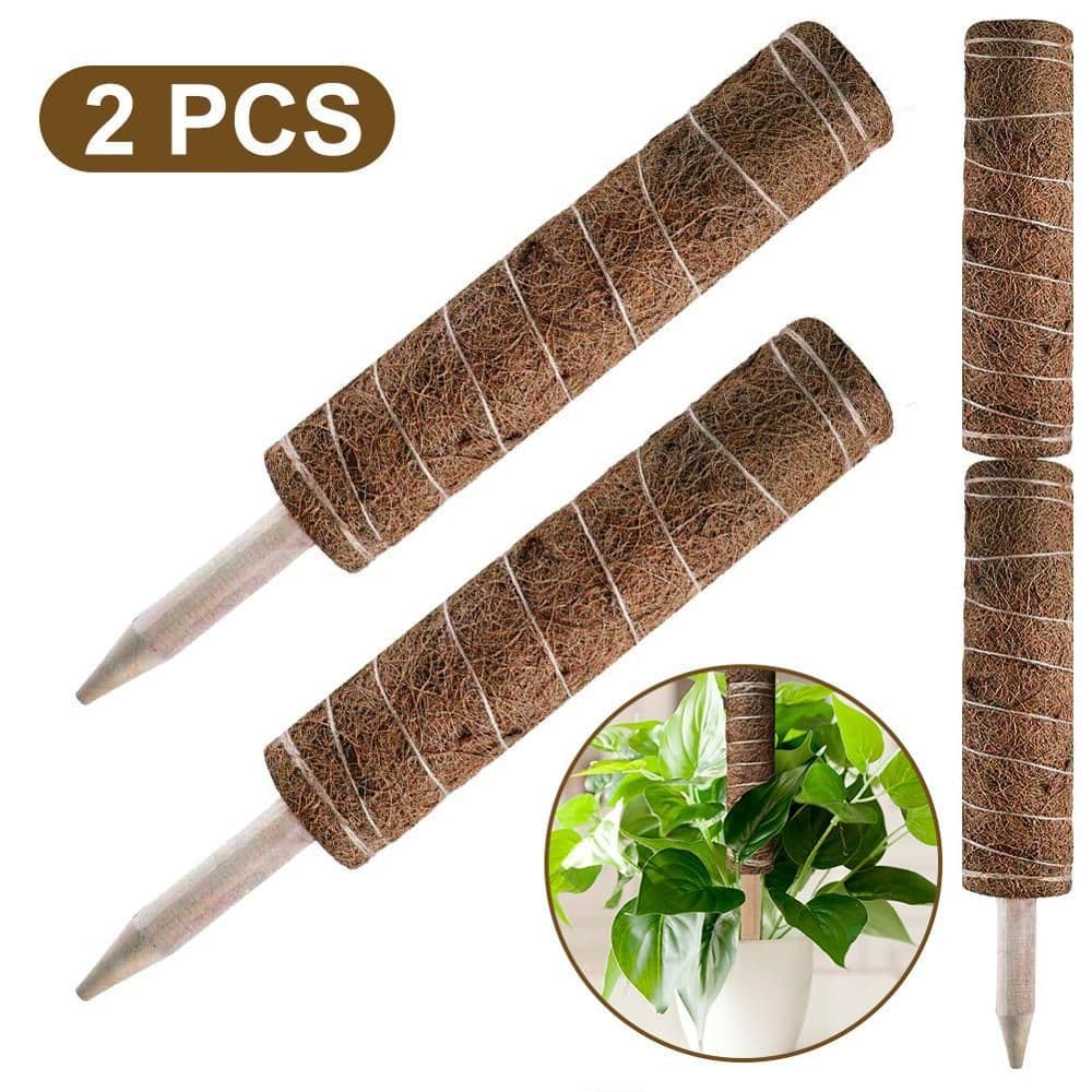 image-Green radish coconut palm sticks