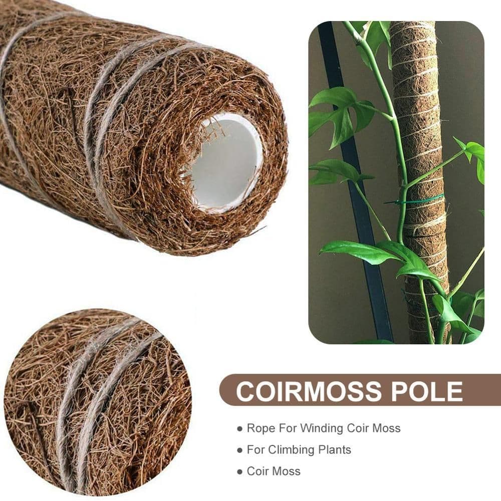 image-Green radish coconut palm sticks