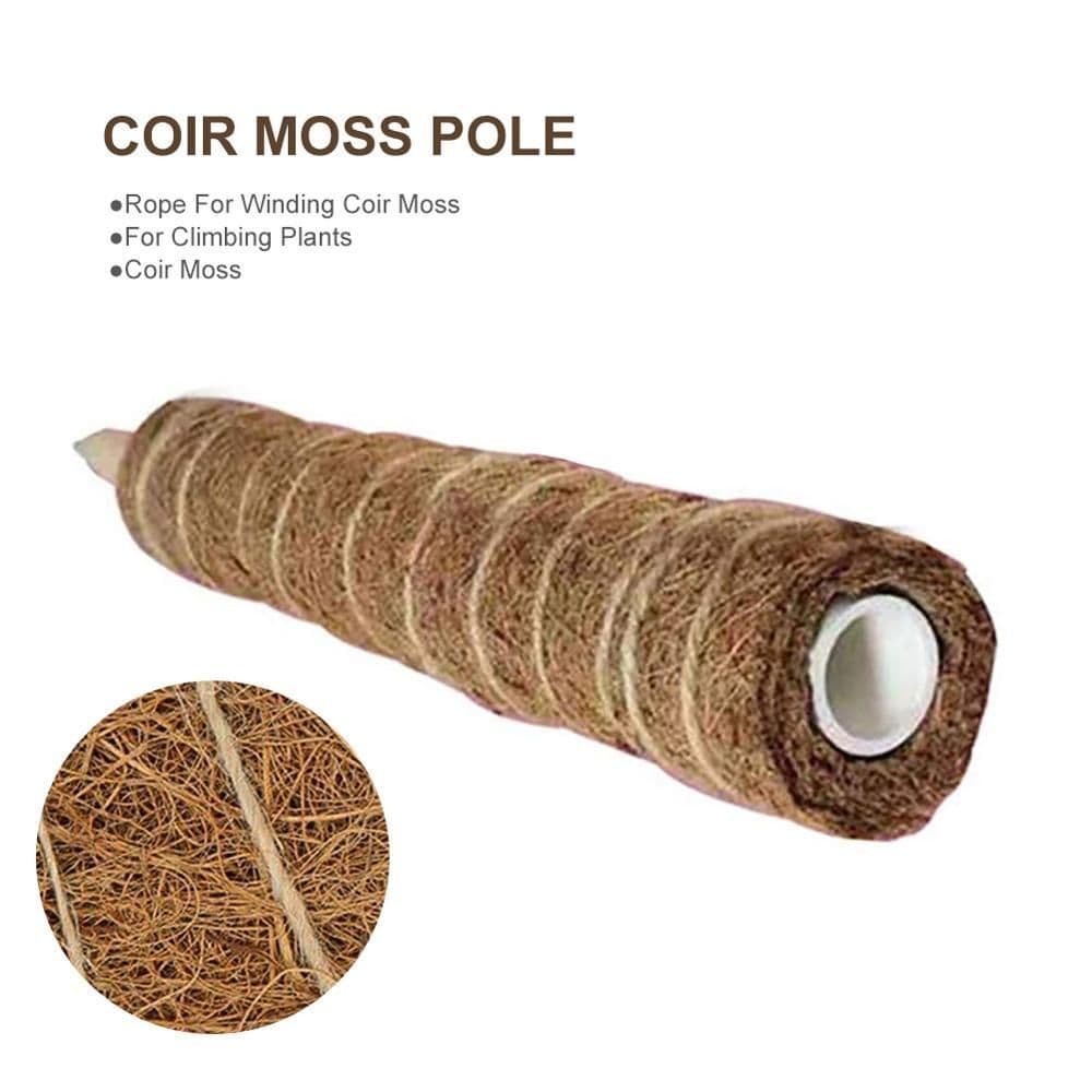 image-Green radish coconut palm sticks