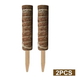 image-Green radish coconut palm sticks