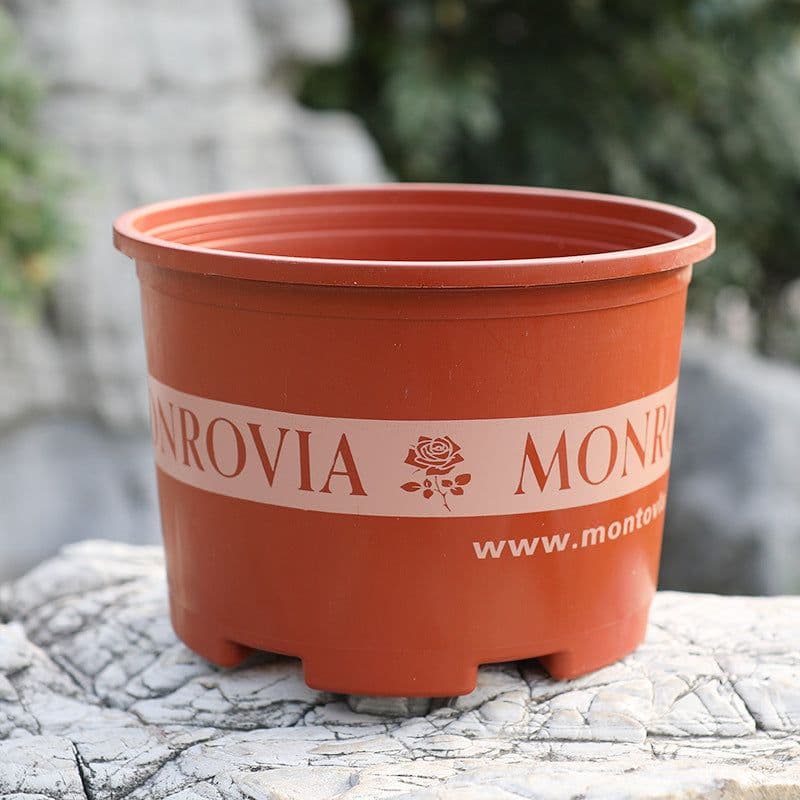 image-Thickened resin root control pot