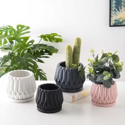image-Tabletop plant flowerpot