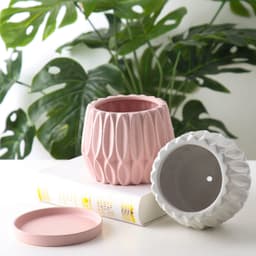 image-Tabletop plant flowerpot