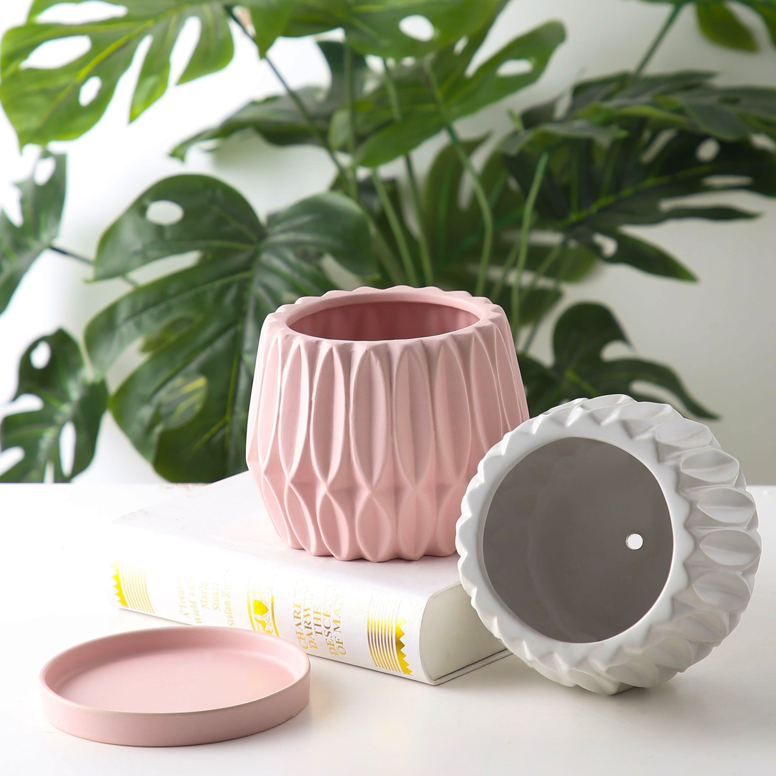 image-Tabletop plant flowerpot