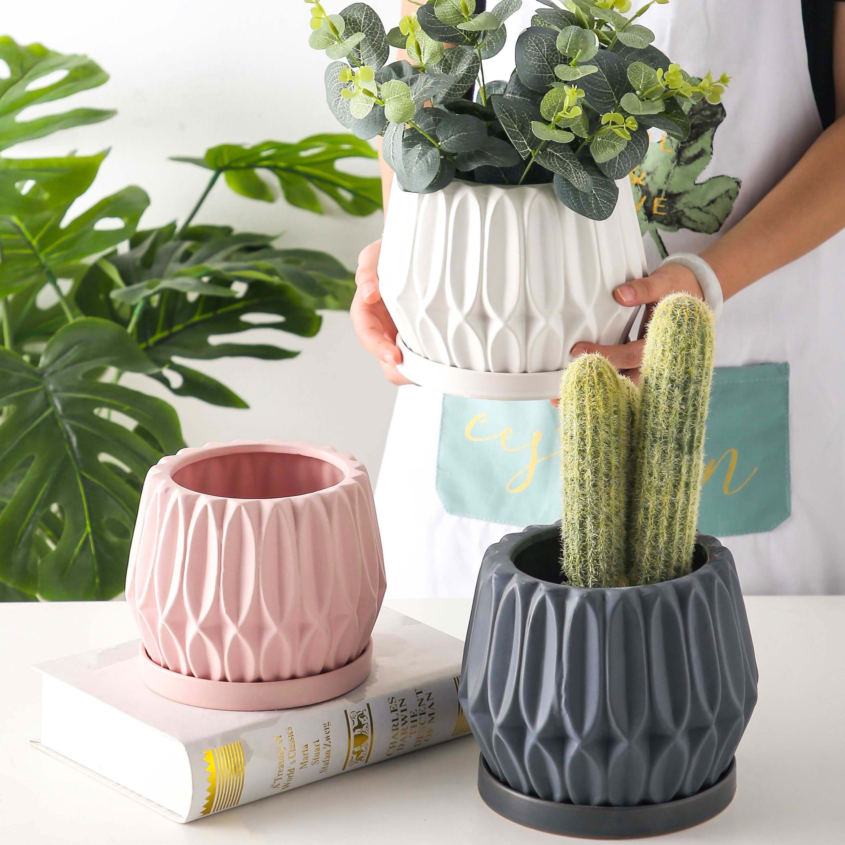 image-Tabletop plant flowerpot
