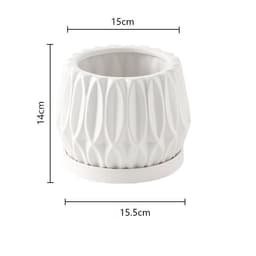 image-Tabletop plant flowerpot