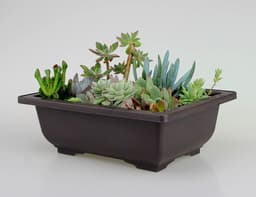 image-Garden supplies antique plant plastic flowerpot