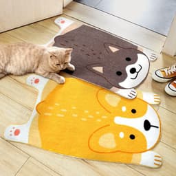 image-Anti-slip mats for household entrances