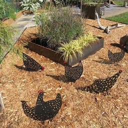 image-Chicken Yard Art Outdoor Garden Back Yard Gazon Stakes Hen Yard Decor