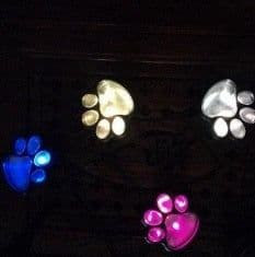 image-Solar Powered Animal Paw Print Lights LED Solar Lamps Garden Outdoors Lantern LED Path Decorative Lighting Lamp