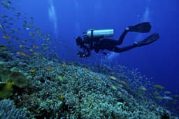 image-Professional diving torch with water-proof LED charging