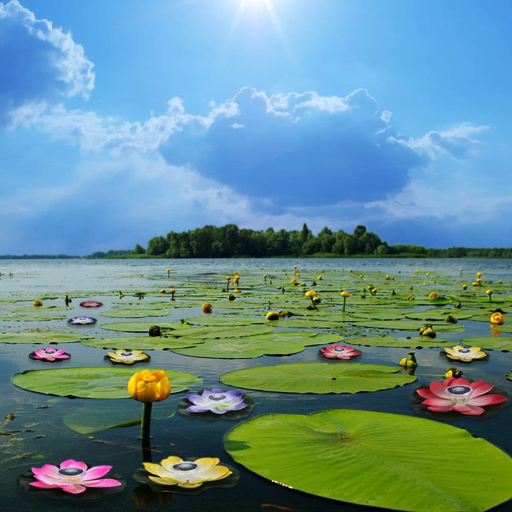 image-Floating water solar lantern LED lotus wishing lamp colorful floating water lamp pool decorative lamp