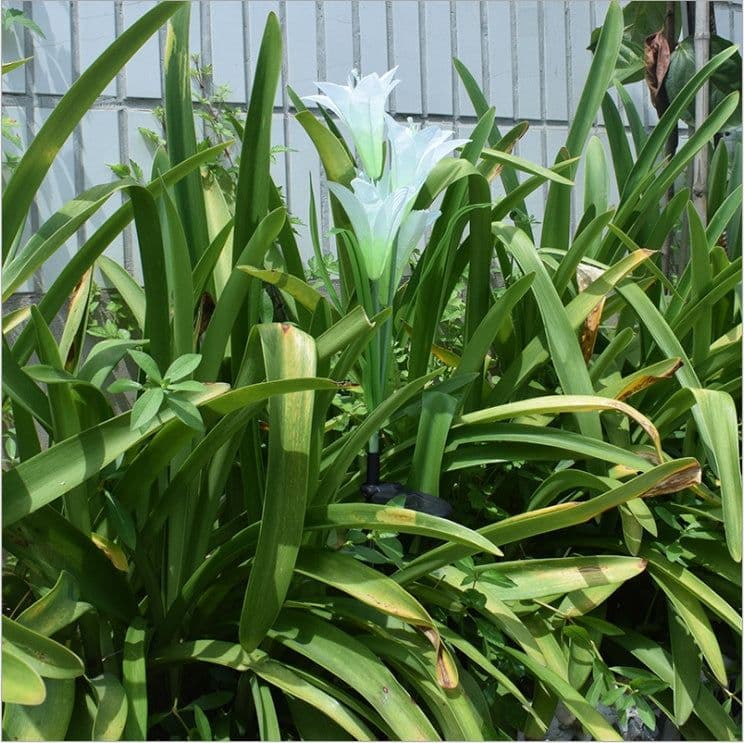 image-Outdoor Solar Garden Light Waterproof 7 LED Colorful Color Lawn Light Lily Fairy Lights Christmas Decoration Patio Lighting