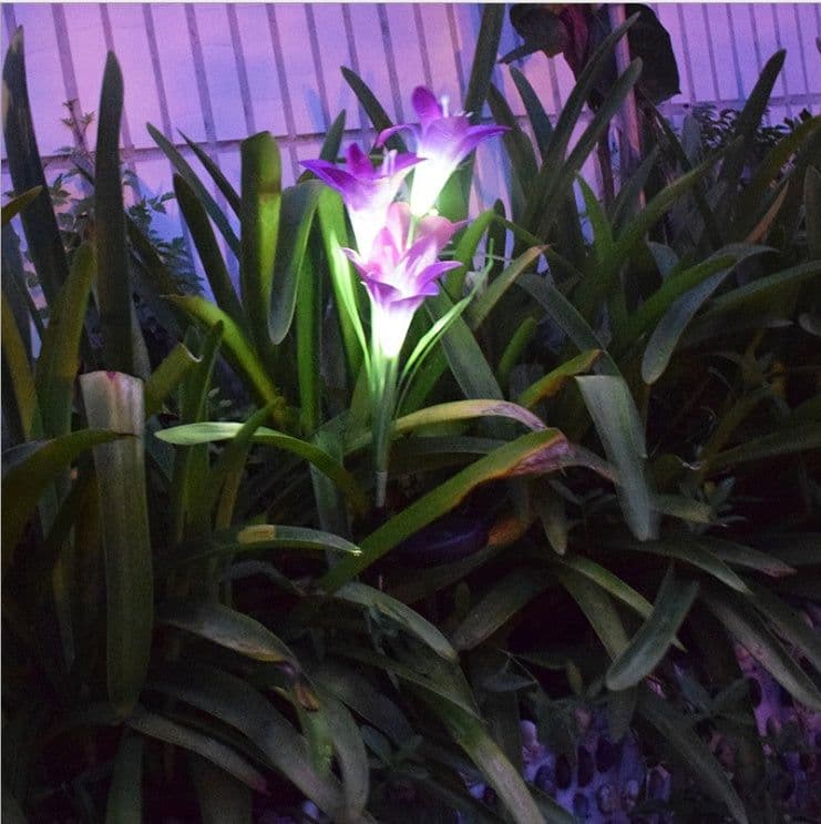image-Outdoor Solar Garden Light Waterproof 7 LED Colorful Color Lawn Light Lily Fairy Lights Christmas Decoration Patio Lighting