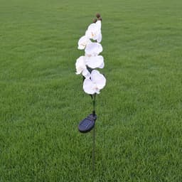 image-LED Solar Flower Light