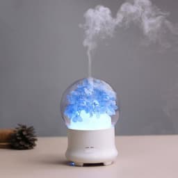 image-Flowers Aromatherapy Diffuser