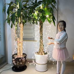 image-Copper wire string lights