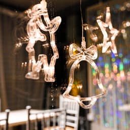 image-Divine Christmas LED Lights with suction holder