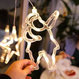 image-Divine Christmas LED Lights with suction holder