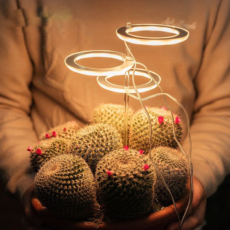 image-LED Grow Light Full Spectrum Phyto Grow Lamp USB Phyto Lamp for Plants Growth Lighting for Indoor Plant