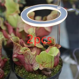 image-LED Grow Light Full Spectrum Phyto Grow Lamp USB Phyto Lamp for Plants Growth Lighting for Indoor Plant