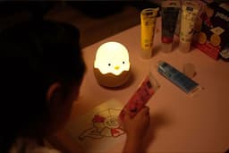 image-Warm White Cute Chick Night Light Cartoon Toys Chicken Egg Shell Rechargeable Control Bedroom Lamp Light-up Toys Kids