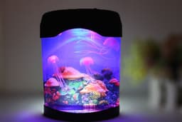 image-Jellyfish aquarium USB colorful lamp
