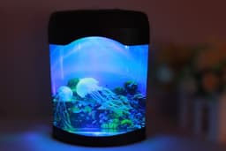 image-Jellyfish aquarium USB colorful lamp