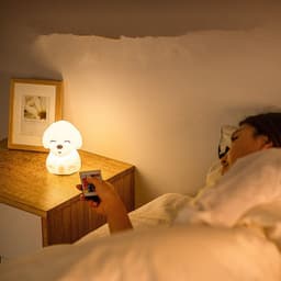 image-Puppy night light