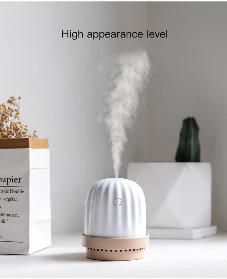 image-Cactus humidifier night light