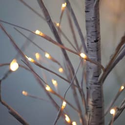 image-Birch tree decoration lights