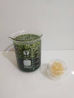 image-Green Juice VE Lip Balm Plant Lip Balm Nourish