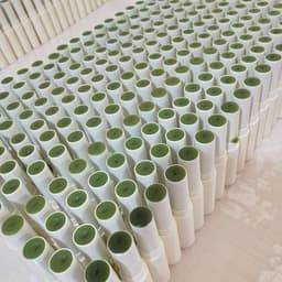 image-Green Juice VE Lip Balm Plant Lip Balm Nourish