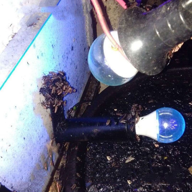 image-New Upgraded Indoor and Outdoor Insecticidal Lamp