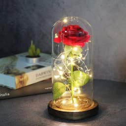 image-Mothers Day Wedding Favors Bridesmaid Gift Immortal Simulation Rose Glass Cover Luminous Led Ornament
