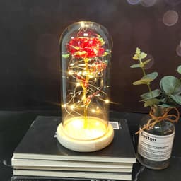 image-Mothers Day Wedding Favors Bridesmaid Gift Immortal Simulation Rose Glass Cover Luminous Led Ornament