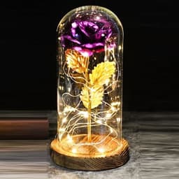 image-Mothers Day Wedding Favors Bridesmaid Gift Immortal Simulation Rose Glass Cover Luminous Led Ornament