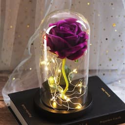 image-Mothers Day Wedding Favors Bridesmaid Gift Immortal Simulation Rose Glass Cover Luminous Led Ornament